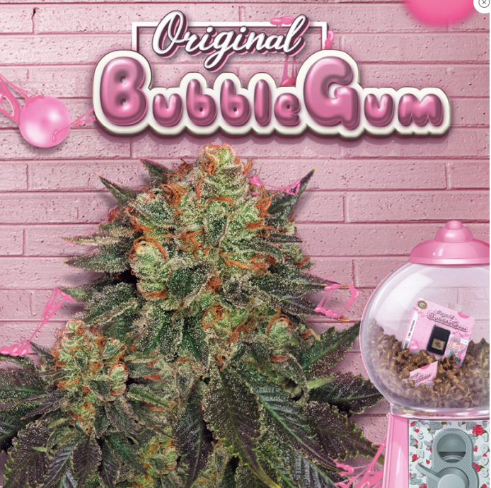 T.H.Seeds Bubblegum