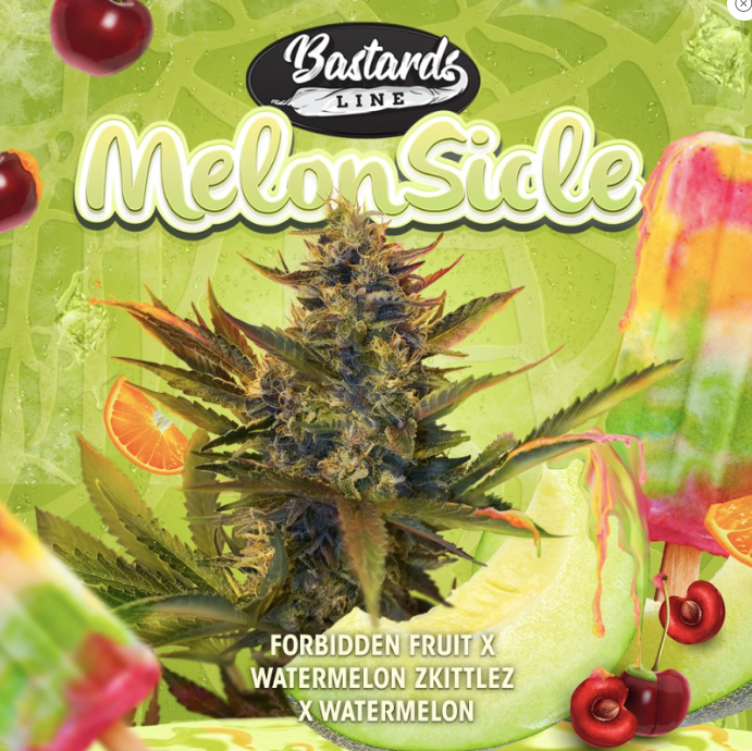 T.H.Seeds MelonSicle