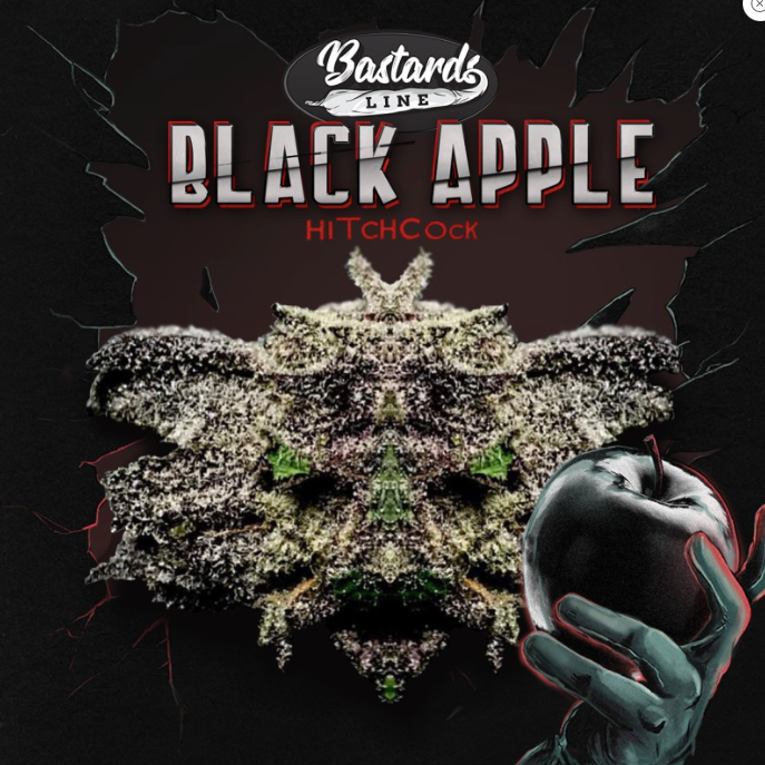 T.H.Seeds Black Apple Hitchcock