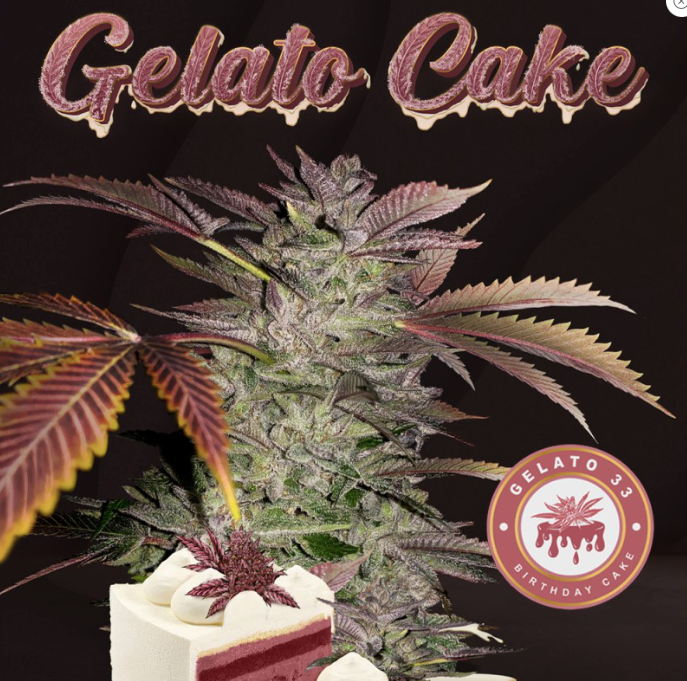 T.H.Seeds Gelato Cake