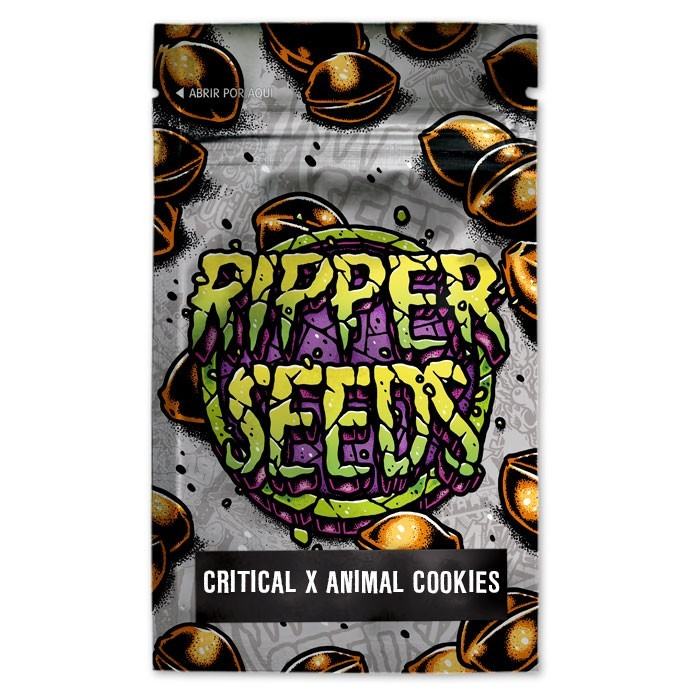 RIPPER SEEDS Critical x animal cookies