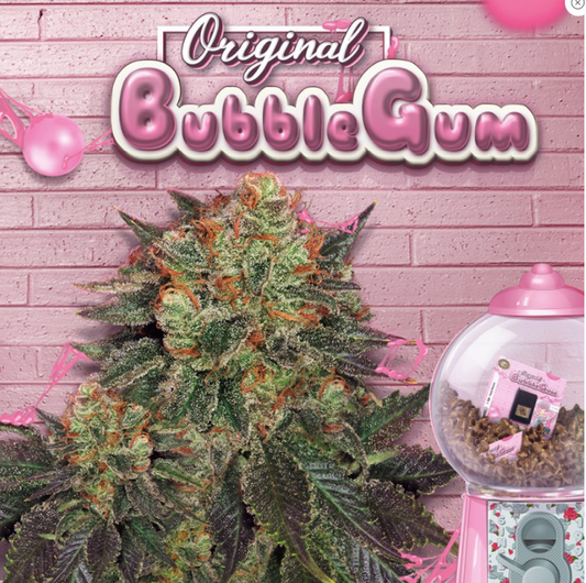 T.H.Seeds Bubblegum