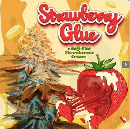 T.H.Seeds Strawberry Glue