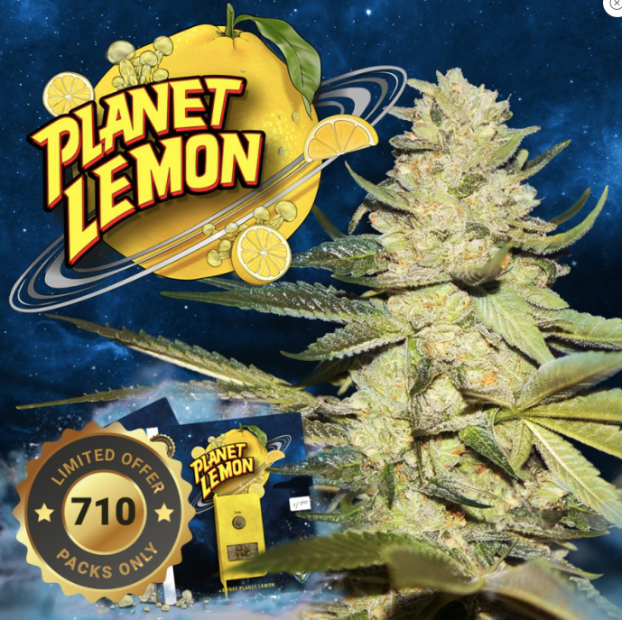 T.H.Seeds Planet Lemon 710 Special Pack
