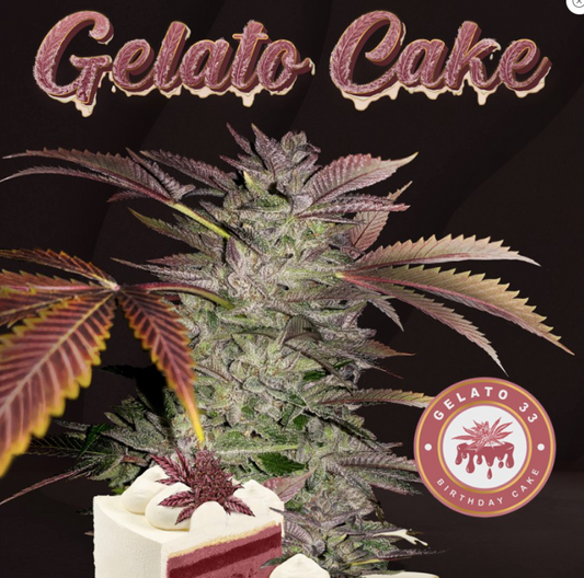 T.H.Seeds Gelato Cake