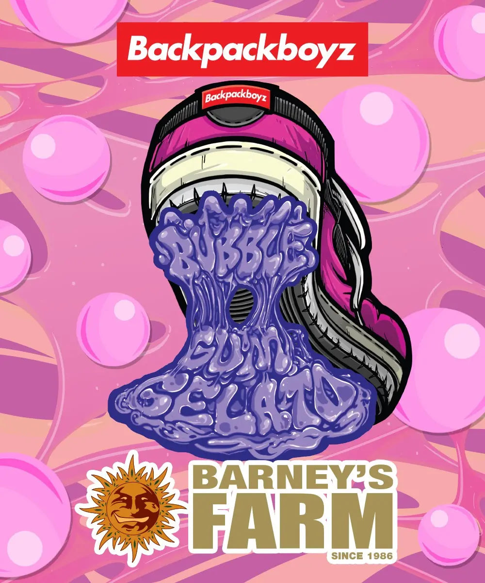 BARNEY'S FARM Bubblegum Gelato