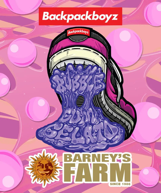 BARNEY'S FARM Bubblegum Gelato