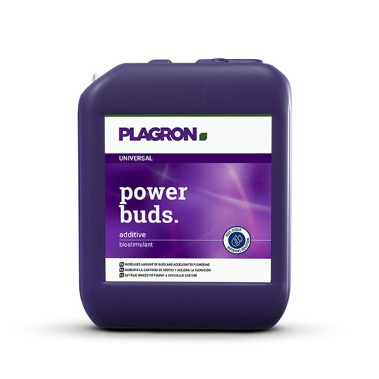 PLAGRON POWER BUDS