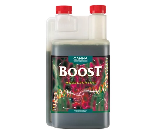 CANNABOOST Accelerator